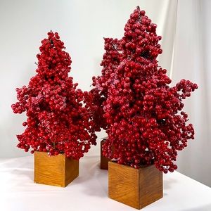 Glistening Red Berry Tree in Stained Box